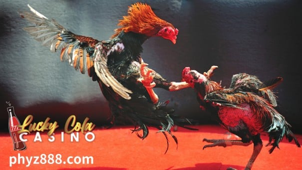 Ano pinakasikat na Sabong breed sa Pilipinas? 1 Ang mga gamecock na ginamit sa Sabong ay sa simula ay wild jungle fowl na matatagpuan sa mga gubat ng Southeast Asia.